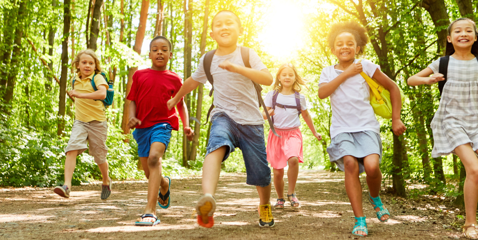 Classe de découverte - enfant en classe nature 